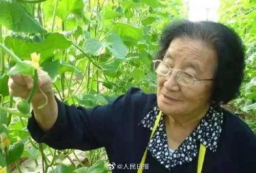 城中人吃瓜套路视频大全,揭秘热门视频背后的趣味与真相